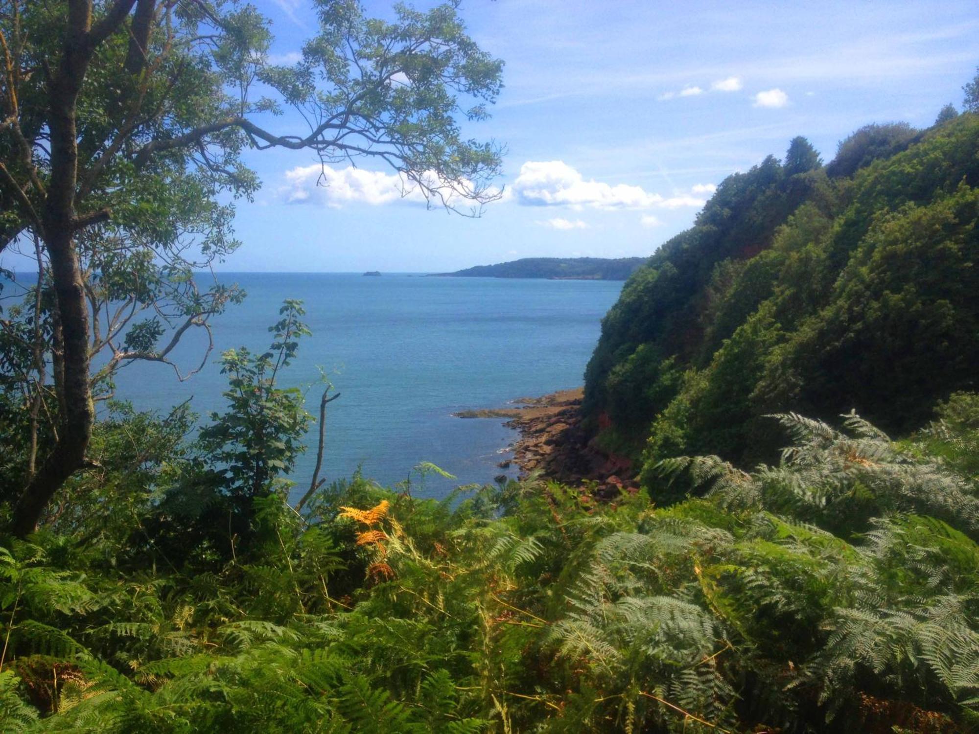 Tide House Seaside Holiday Cottage Shaldon Buitenkant foto